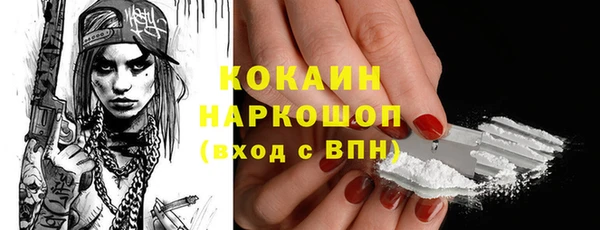 прущие грибы Магадан